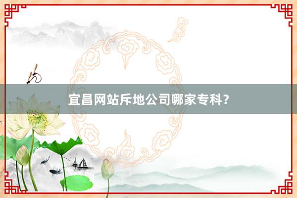 宜昌网站斥地公司哪家专科？